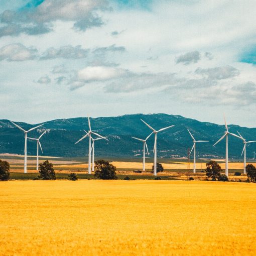 white wind turbines on brown field under blue and white sunny cloudy sky during daytime